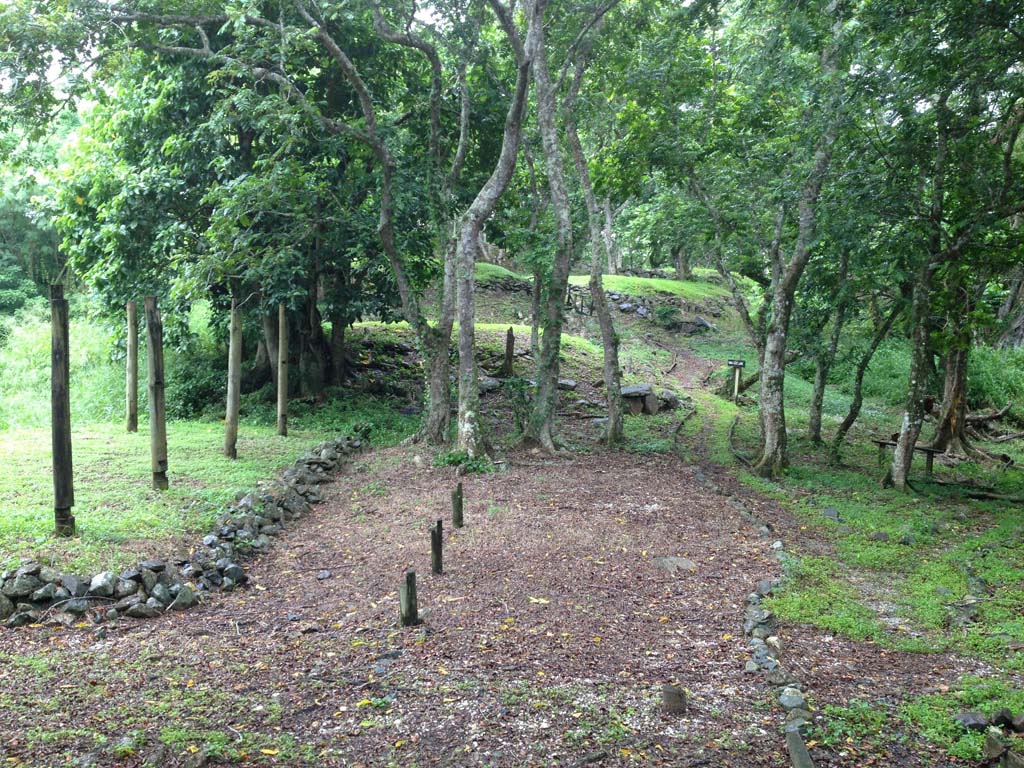 “Central area of Tavuni Hill Fort, with house foundations on the left” Source: Nicholas Halter 2018