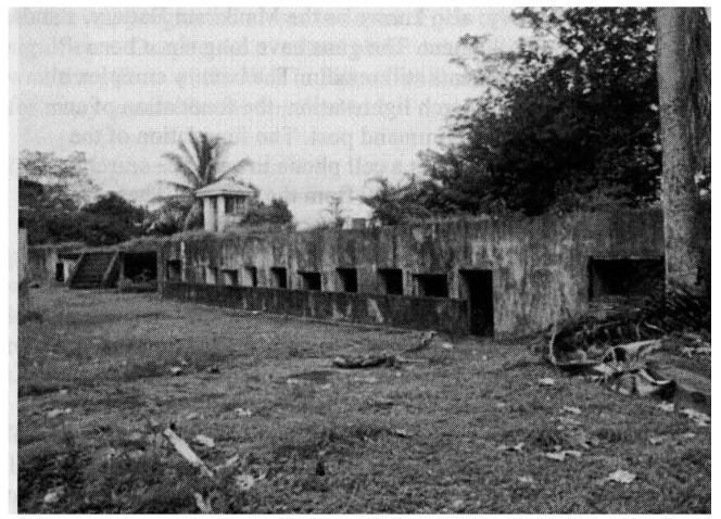 Remnants of the Veiuto Battery in 2012 (taken from Nebraska Anthropologist and researcher Allison Young).